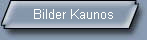 Bilder Kaunos