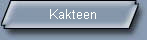 Kakteen